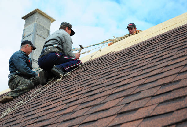 Best Roof Maintenance Services  in Bristol, VA