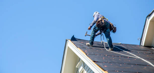 Best Roof Gutter Cleaning  in Bristol, VA